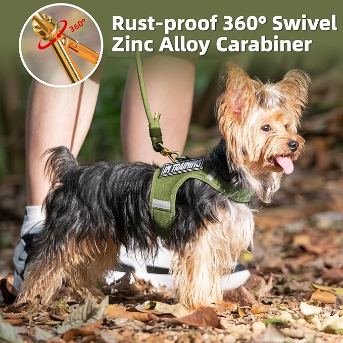 Durable Handwoven Dog Leash for Small & Medium Dogs, 5/16 inch Rope Lead with Anti-Tangle Swivel Clip, Soft & Lightweight, 5FT Long – Ideal for Daily Walking & Training (Misty Green)
