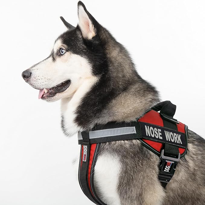 Dogline Vest Harness for Dogs and 2 Removable Nose Work Patches, Small/18 to 25", Red