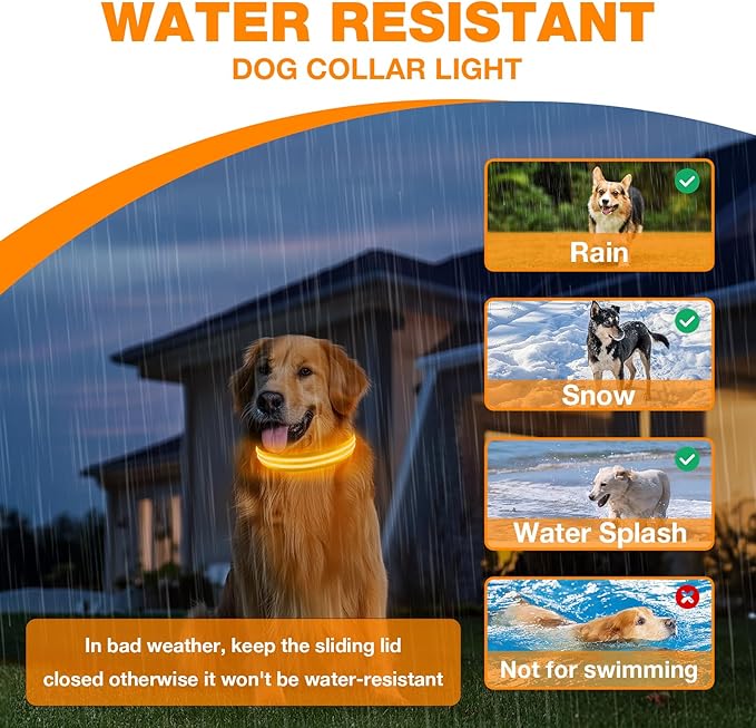 LED Dog Collar, Light Up Dog Collar, Lighted Dog Collars Adjustable for Night Walking, Glow in The Dark Dog Collars Light with USB Rechargeable Color Changing Waterproof for Dogs (Orange, Small)