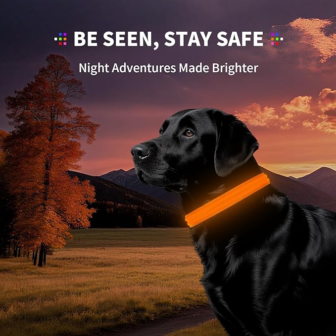 PetIsay Dog Light up Collar for Night Walking - High Visibility LED Dog Collar - Rechargeable - Waterproof - Reflective - Adjustable Lighted Glow Collars(Orange, Large)