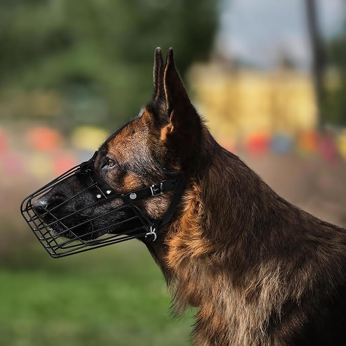 German Shepherd Dog Muzzle Metal Basket for Medium Large Dogs Adjustable Durable Leather Straps Secure Wire Mask for Biting Chewing Barking (M - Size)