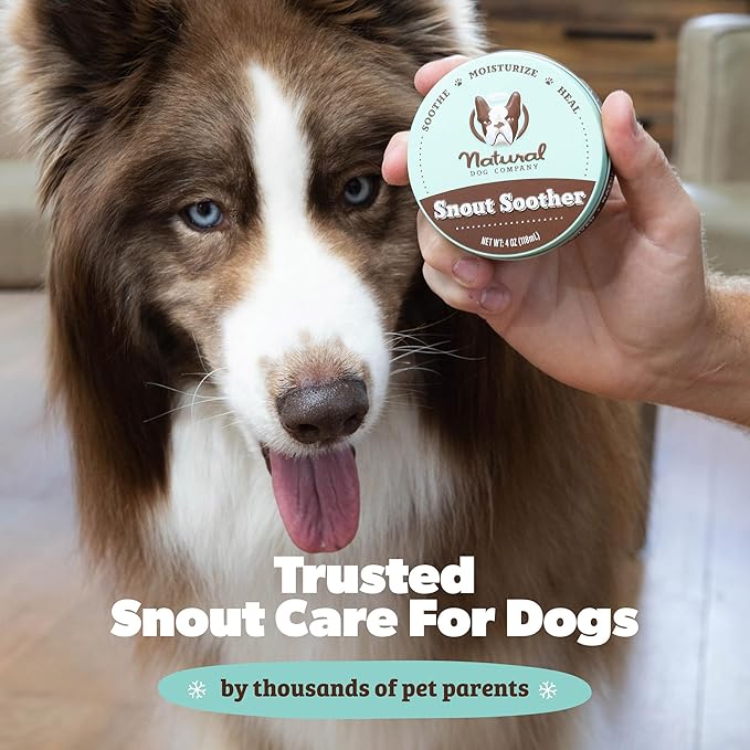 Natural Dog Company Snout Soother Balm – Dog Nose Balm for Dry Cracked Snouts, Moisturizing Winter Nose Care with Coconut Oil & Shea Butter, Lick Safe Dog Snout Balm for All Breeds, 2 oz Stick