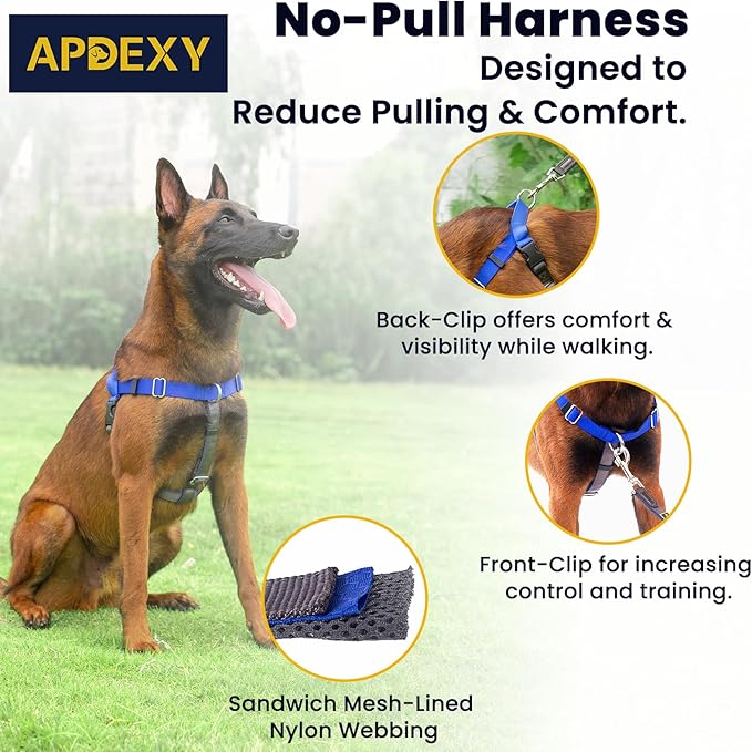 No Pull Dog Harness Freedom Walking, Easy Walk with Front and Back Stainless D-Rings, Sewn-in Instructions Tags for Easy Use, for Medium/Large Dogs Weight 40-60 lbs (Blue, Med/Large)