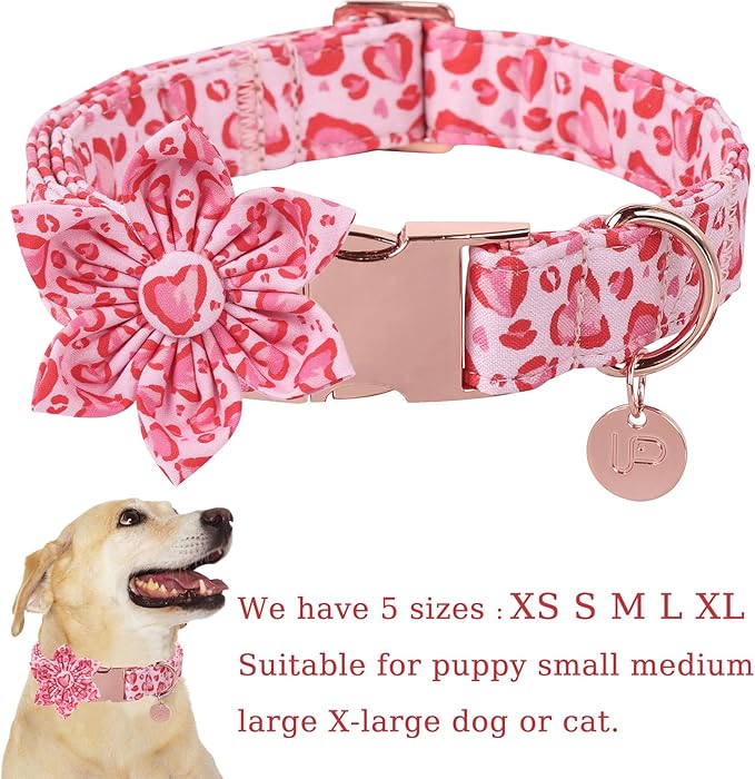 Valentine Dog Collar with Flower, Heart Flower Collar for Puppy Girl Boy Dog or Cat, Comfortable Dog Collar Flower with Durable Metal Buckle, Cute Pet Collar, S, Neck 10-16in