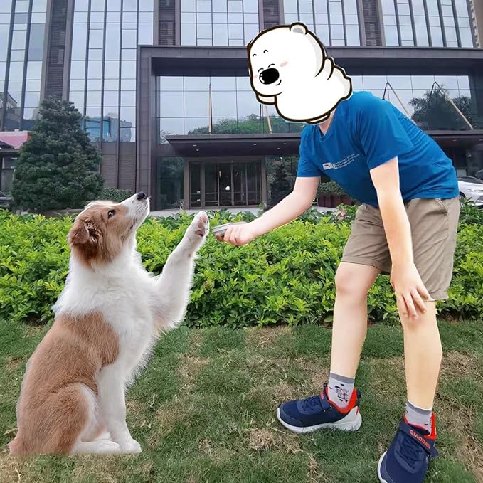 Dog Scent Work Tins Training Kit Nose Work Containers Magnetic Dots Scent Work for Dogs Training Smell Aluminum Cans (6 tins+4 Scent Work kit)