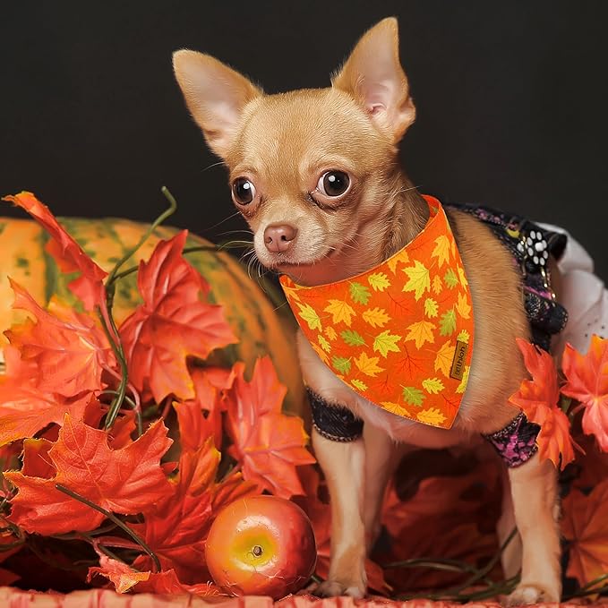 Fall Dog Bandanas - 2 Pack Thanksgiving Dog Bandana with Snap Button, Reversible Pumpkin Pet Scarf for Boy & Girl, Premium Durable Fabric, Holiday Bandana for Large & Extra Large Dogs (X-Large)