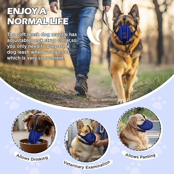 Dog Muzzle - Soft Breathable Mesh Nylon Adjustable Muzzle for Small Medium Large Dogs Prevents Chewing,Biting & Scavenging | Allows Panting, Drinking & Grooming | Secure Collar Strap Design(Blue XXL)
