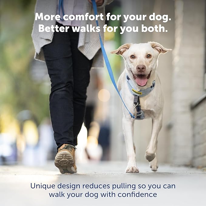 PetSafe Easy Walk Comfort No-Pull Dog Harness - Better Walk Training Harness - Full Body Padded Design - Durable Fabric - 5 Point Adjustable Fit - Everyday Leash Training - Black - Medium/Large