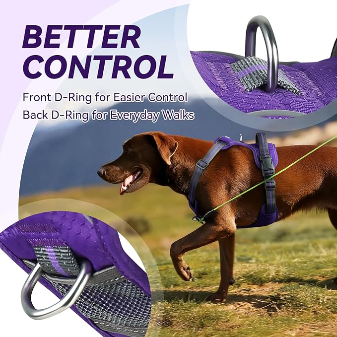 VIVAGLORY Dog Harness Easewalk No Pull Dog Harness with Handle Front Clip & Back Clip for Training Walking Lifting, No Pull Adjustable Easy On Padded Comfortable for Pet, XL, Purple - Patterned