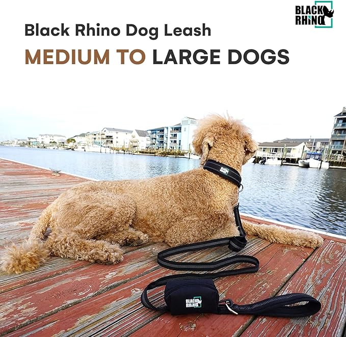 Black Rhino Heavy Duty Dog Leash - 6ft Long Leash for Medium and Large Dogs - Dual Handle Training Lead with Padded Grip, Bag, Reflective Stitching, and Weather Resistant