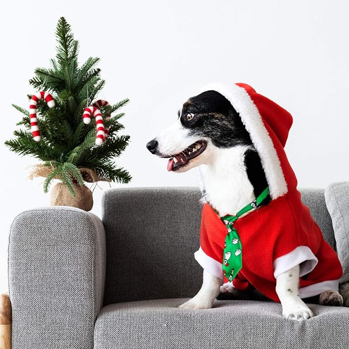 Segarty Dog Neck Ties, 30 Pcs Dog Ties with Adjustable Collar, Pet Bowties for Small Cats, Puppy Bowties Pets Neckties Grooming Bows Bulk for New Year Photography Holiday Wedding Festival Party