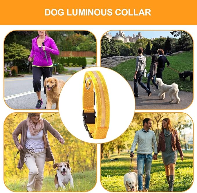 Lighted Dog Collars - Puppy Led Training Collar with Nighttime Visibility, 3 Lighting Modes, Water-Resistant Rechargeable Pet Collar, 600mah Battery, Customizable Dog Illuminated Collar for Dogs