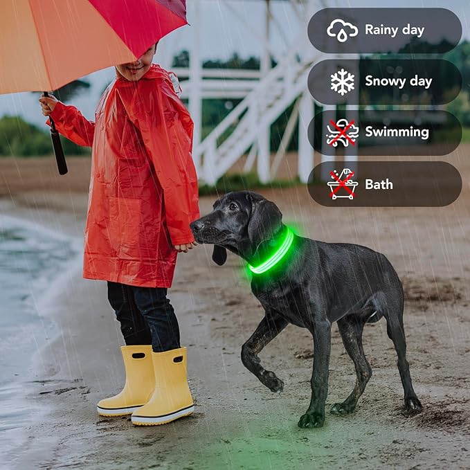 Light Up Dog Collars Rechargeable, Reflective LED Glow Dark Dog Collar for Small Medium Large Dogs, Adjustable Pet Dog Lights for Safe Night Walk-Green, Large