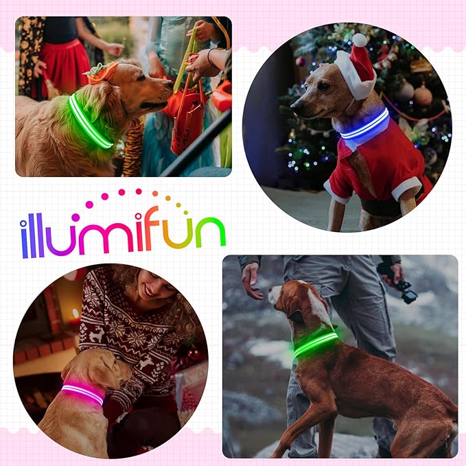 Illumifun Lighted Dog Collars for Night, USB Rechargeable Light Up Dog Collar, Water-Resistant LED Dog Collar Glow in The Dark (Pink, Medium)