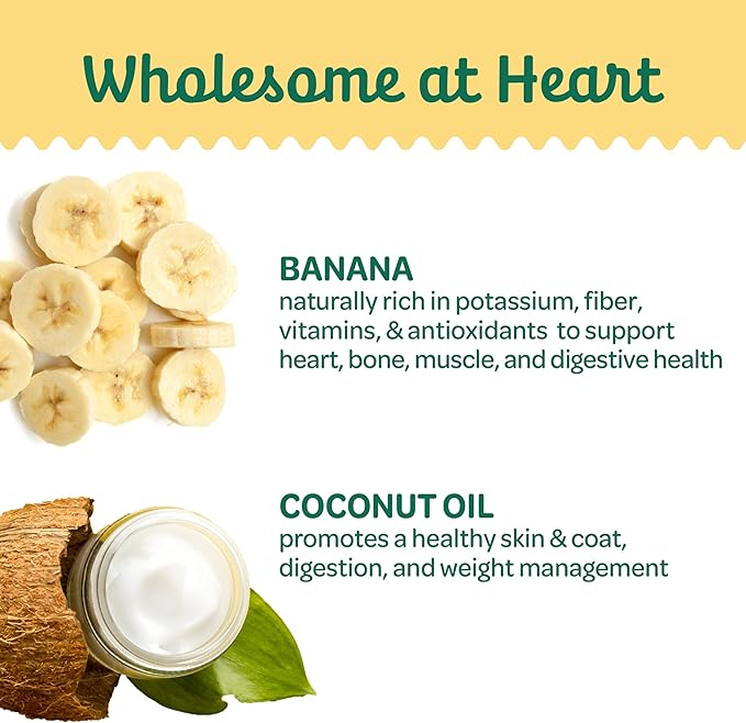 Wholesome Pride Banana Bites Dog Treats – 2-Ingredient Banana Chips for Dogs, Grain-Free, Banana & Coconut Oil, 8 oz