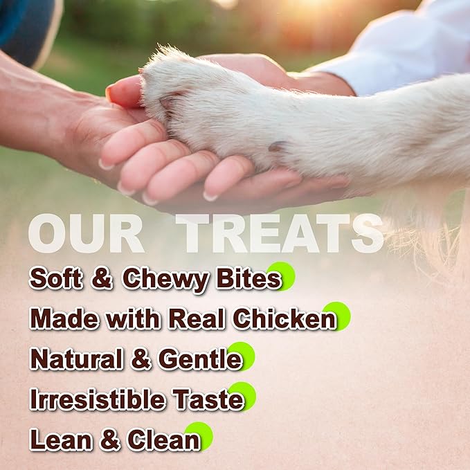 Afreschi Soft Chicken Dog Treats, All Natural, High-Protein, Healthy & Easily Digestible, Grain-Free Puppy Chews, Human Grade Training & Rewards Dog Snacks, Jerky Cuts, 16 oz Pack
