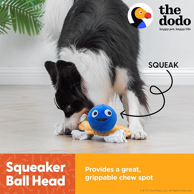 The Dodo Turtle Multitexture Toy with Ropes, Squeakers, and Crinkle; Stuffingless Toy for Dogs; No Stuffing Dog Toys with Crinkle Sound and Squeaker; Turtle Toy for Dogs in Flat Style Plush