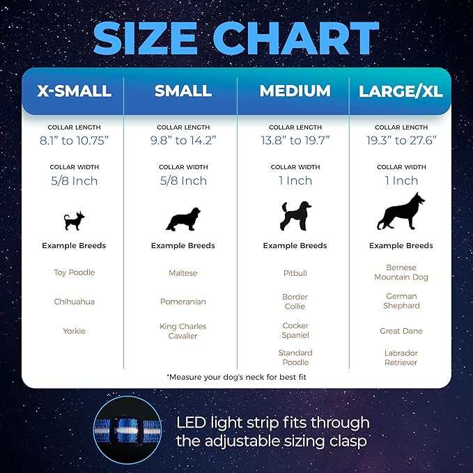 Blazin Light Up Dog Collar - The Original LED Dog Collar - USB Rechargeable - Waterproof - 1,000 Feet of Visibility - Dog Collar Light for Small, Medium, Large Dogs - USA Brand