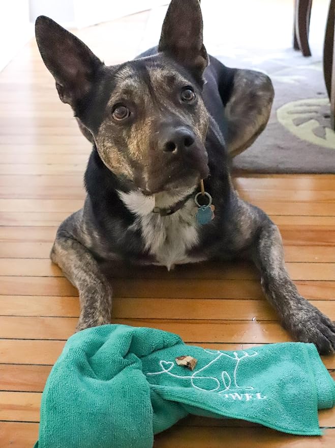 Dog Enrichment Puzzle Toy – Snuffle Mat Alternative for Dogs, Interactive Sniffing & Mental Stimulation Toy, Boredom Buster Nose Work Toy, Washable Microfiber Treat Towel, GreenStd