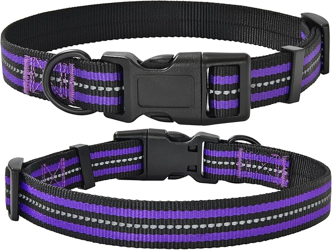 Mile High Life Reflective Dog Collar | Nylon Pet Collars wiith Buckle | Light Weight Puppy Collars | Purple Dog Collars for Small Dogs (Purple, X-S)