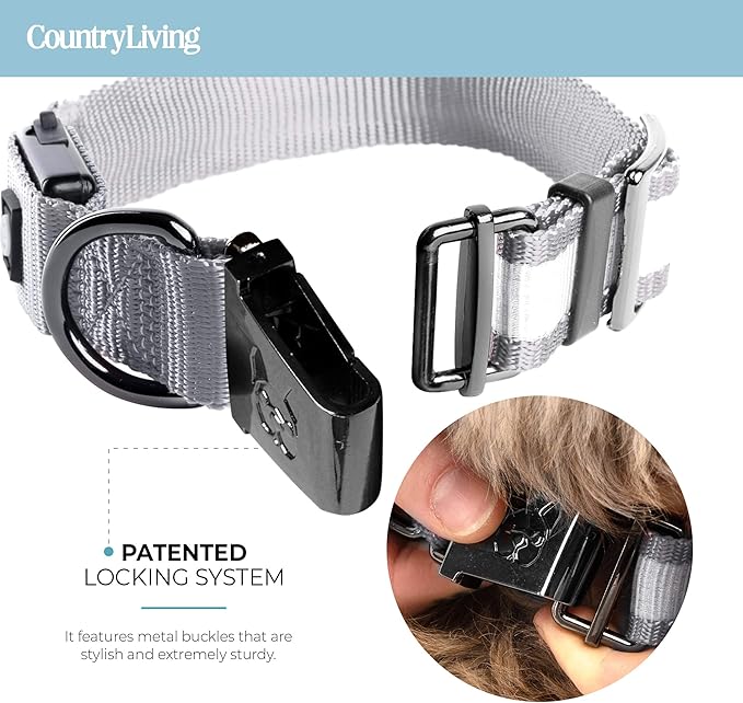 Silver Paw Light Up Dog Collars, LED USB Rechargeable Dog Collar, Waterproof & Durable (Grey,S)