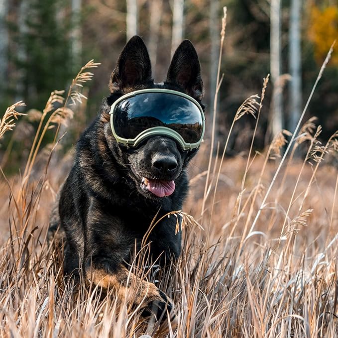 Rex Specs V2 Dog Goggles (Medium, Black)
