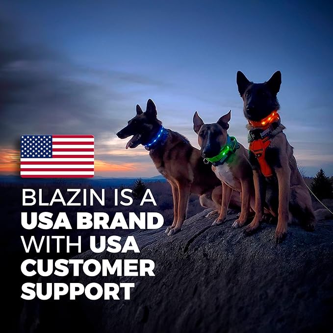 Blazin Light Up Dog Collar - The Original LED Dog Collar - USB Rechargeable - Waterproof - 1,000 Feet of Visibility - Dog Collar Light for Small, Medium, Large Dogs - US Brand