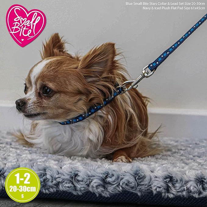 Ancol Small Bite Stars Collar and Lead Set Blue Adjustable Design for Puppies and Small Dogs - 1m Lead with Soft Webbing - 20-30cm