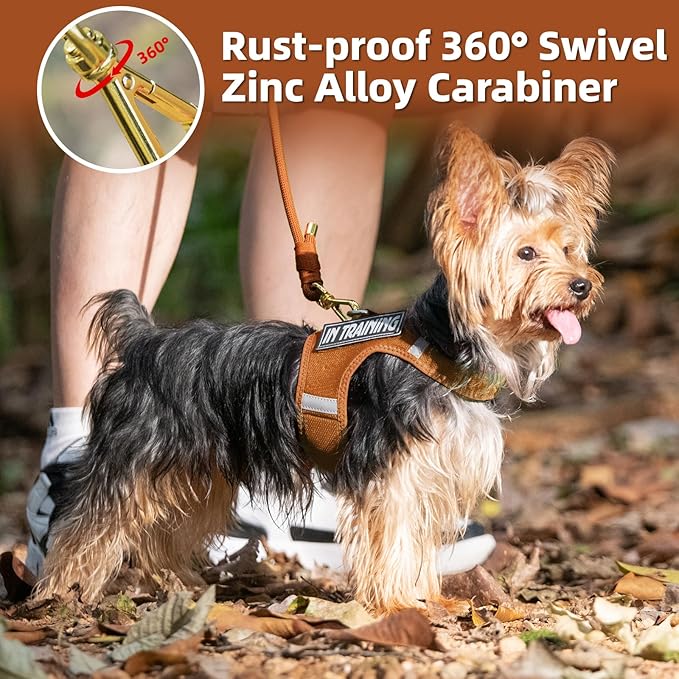 Durable Handwoven Dog Leash for Small & Medium Dogs, 5/16 inch Rope Lead with Anti-Tangle Swivel Clip, Soft & Lightweight, 5FT Long – Ideal for Daily Walking & Training (Carmel Brown)