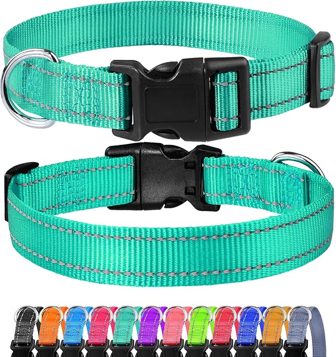 FunTags Reflective Dog Collar, Sturdy Nylon Collars for Puppy and Extra Small Girl and Boy Dogs, Adjustable Dog Collar with Quick Release Buckle,Turquoise,3/8" Width