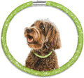 Stylish and Luxurious Diamond Dog Collar,Magnetically Absorbent Clasp,Full Diamond Design,Perfect for Wedding and Everyday Walking - Green Diamons Necklace Collar for Medium Dogs,16''