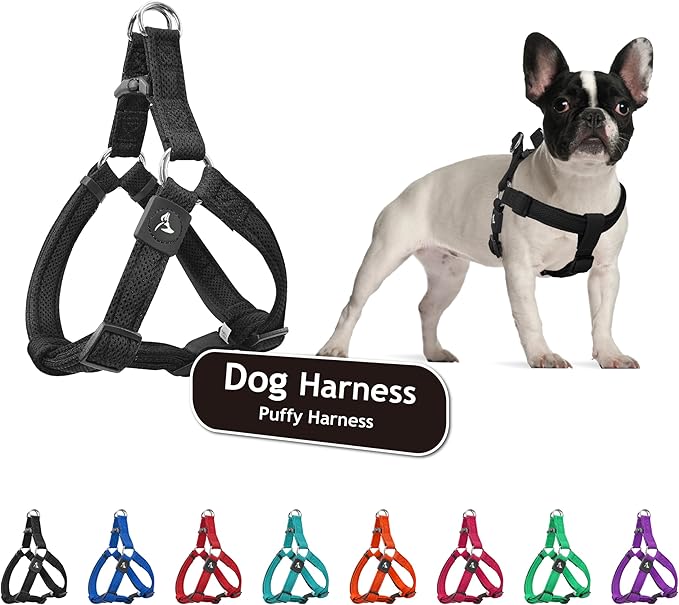 Kruz No Pull Dog Harness (Chest 21”-30”, Weight 22-53 lbs) Heavy-Duty Pet Harness for Medium Breeds, Ultra-Comfort Fit, Lifetime Durability, Adjustable Dog Harness No Pull Design (Black, Medium)