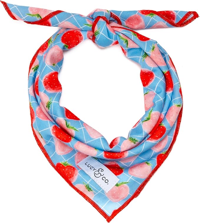 Lucy & Co. Fresh Berries Bandana - Durable Comfortable Dog Bandana - Machine Washable - Designer Puppy Accessory - Large Blue Strawberries
