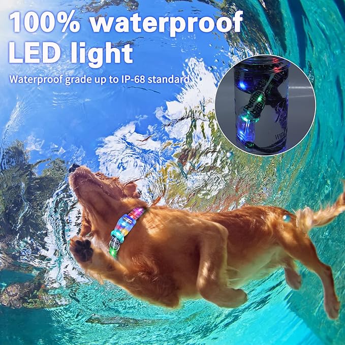Light Up Dog Collars,LED Dog Collar Rechargeable Waterproof,2-in-1 Buckle Type Glow Collar for Medium Large Dogs.XS(Bohemian Blue)