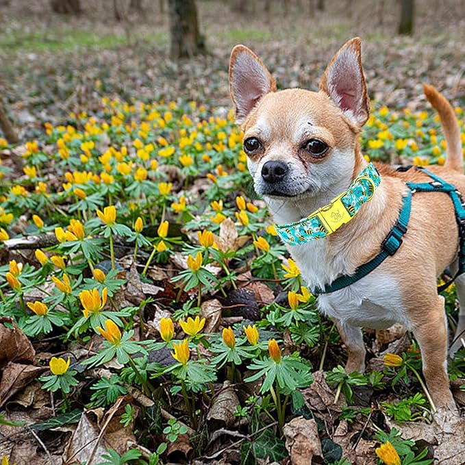 Elegant Little Tail Summer Pet Collar, Durable Bees Print Dog Collar, M, 1 Inch Width, 13.5 Inch Length, Cotton, Unique Design, Superior Durability, Perfect for Small, Medium, Large Dogs
