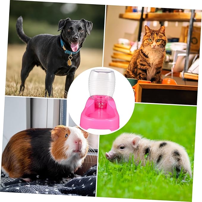 Pink Pet Water Feeder Bowl Automatic Water Dispenser for Dogs and Puppies Stable Non Spill Design with Safe Eco Friendly Material for Home and Pet Shop Use
