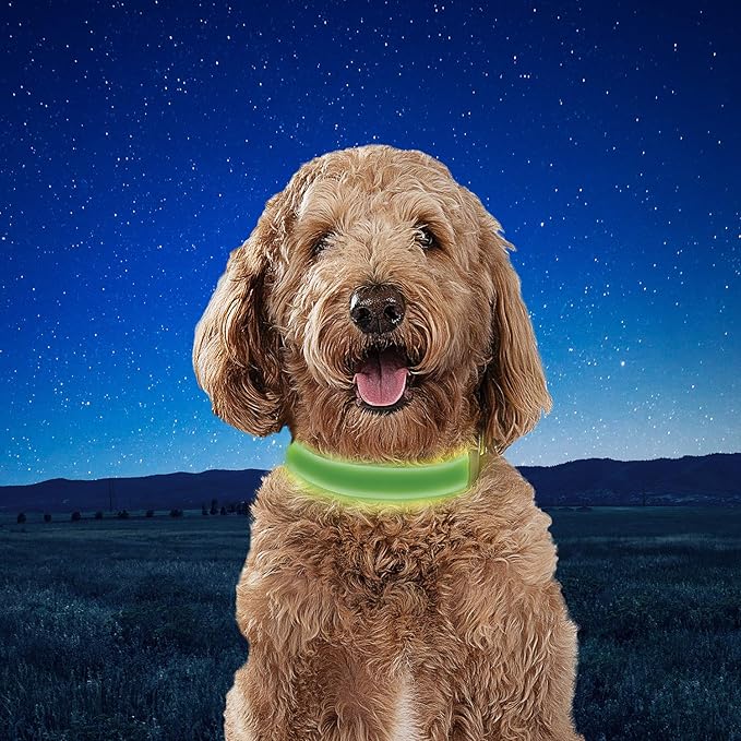 Nite Ize NiteDog Rechargeable LED Collar - Light Up Dog Collar with Durable Metal Buckle - Water-Resistant & Rechargeable Collar - Dog Supplies for Night Activities - Medium, Lime