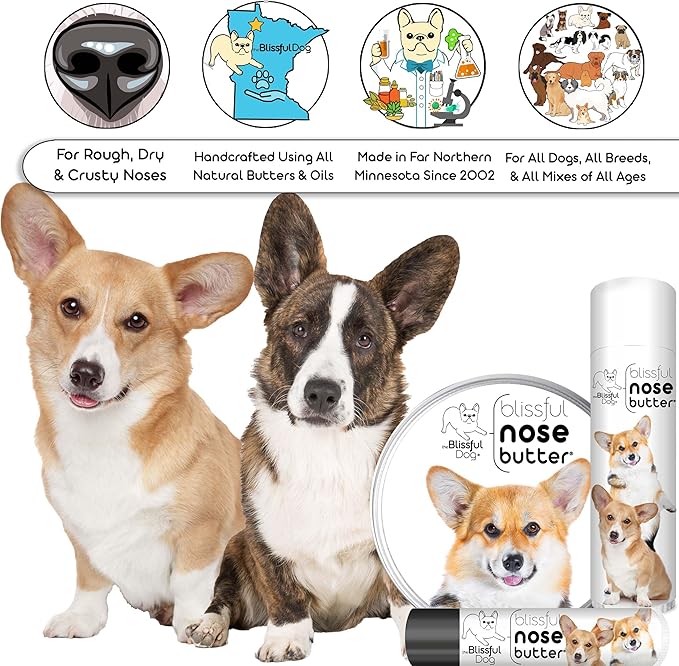 The Blissful Dog Corgi Unscented Nose Butter, 4-Ounce