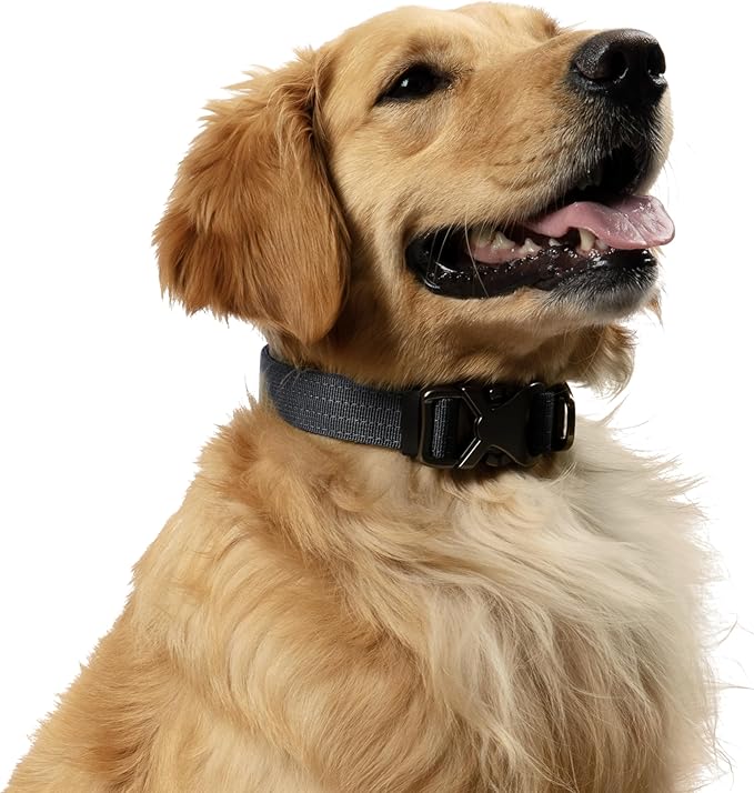 Embark Adventure Pro Dog Collar – Heavy Duty Tactical Dog Collar Stylish & Durable Nylon Dog Collar for Large Dogs, Small Dogs & Medium Dogs. Strong Buckles for Any Size Breed (Small, Black)