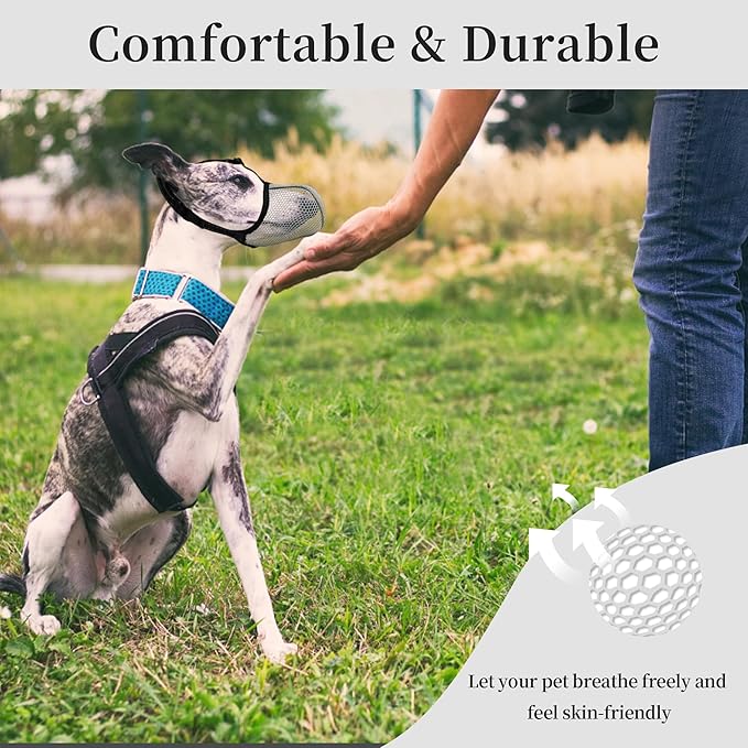 Dog Muzzle, Breathable Soft for Small to Medium Dogs to Anti & Prevent Barking Biting Chewing, Reflective & Adjustable Basket Muzzle with Air Mesh for Schnauzer Grey M