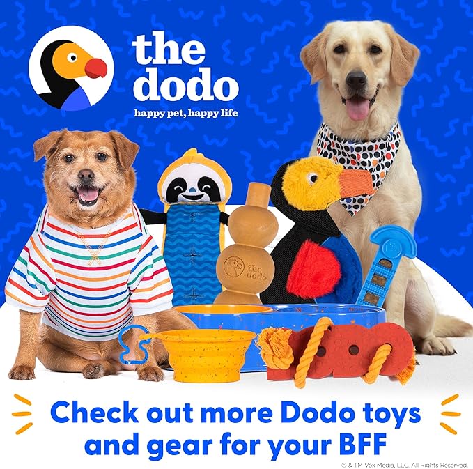 The Dodo Turtle Multitexture Toy with Ropes, Squeakers, and Crinkle; Stuffingless Toy for Dogs; No Stuffing Dog Toys with Crinkle Sound and Squeaker; Turtle Toy for Dogs in Flat Style Plush