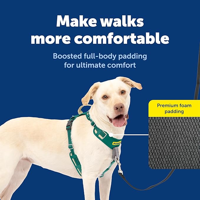 PetSafe Easy Walk Comfort No-Pull Dog Harness - Better Walk Training Harness - Full Body Padded Design - Durable Fabric - 5 Point Adjustable Fit - Everyday Leash Training - Green - Large