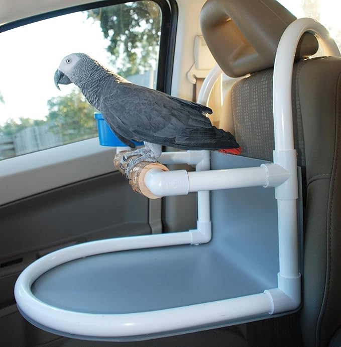 Bird Parrot Car Seat (Large
