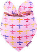LunaMarie - Luxury Pet Birthday Bandanas -Premium & Silky Poly Fabric | 100% Handmade | Custom Shape Dual Layered (Aviator Glam, X-Small)