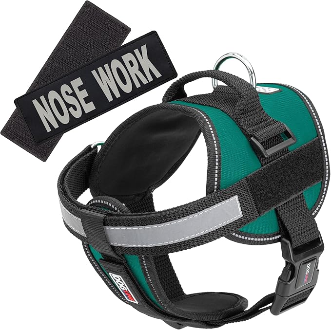Dogline Unimax Dog Harness Vest with Nose Work Patches Adjustable Straps Breathable Neoprene for Identification Training Dogs Girth 15 to 19 in Turquoise