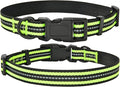 Mile High Life Reflective Dog Collar | Nylon Pet Collars wiith Buckle | Light Weight Puppy Collars | Lime Green Dog Collars for Small Dogs (Lime Green, S)