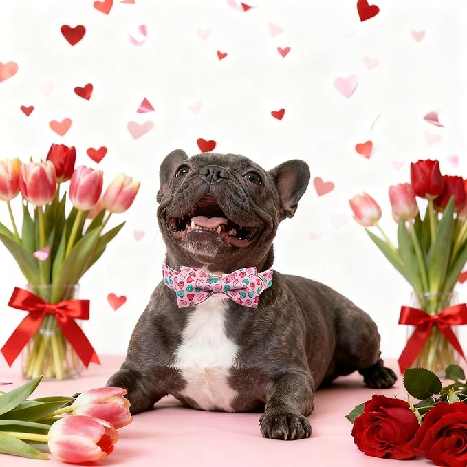 Maca Bates Valentine's Day Dog Collar with Fancy Bow for Medium Girl Boy Dogs,Pink Love Hearts Pattern,Adjustable Durable Soft Valentine Gift for Female Male Puppy
