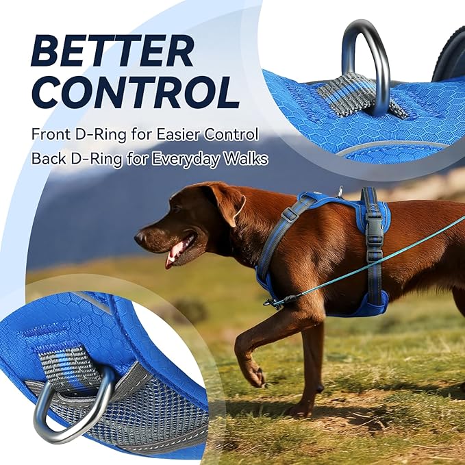 VIVAGLORY Dog Harness Easewalk No Pull Dog Harness with Handle Front Clip & Back Clip for Training Walking Lifting, No Pull Adjustable Easy On Padded Comfortable for Pet, XL, Royal Blue - Patterned