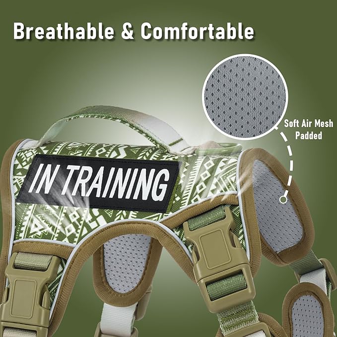 No-Pull Dog Harness for Small Dog Breeds, Escapeproof Easy Walking Reflective Adjustable Lightweight Dog Vest with Breathable Oxford Material, Easy on Easy Off with Neck Buckle, Green Ethnic XS