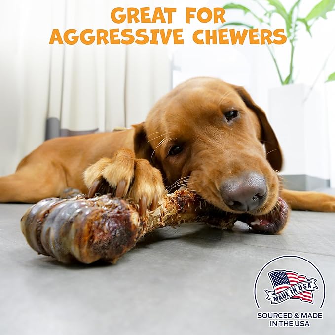 Beef Shin Bones for Dogs - Liver Coated Long Lasting Dog Chews for Aggressive Chewers - Rawhide-Free Big Bones for Large Dogs - Healthy Large Dog Bone (1 Pack)